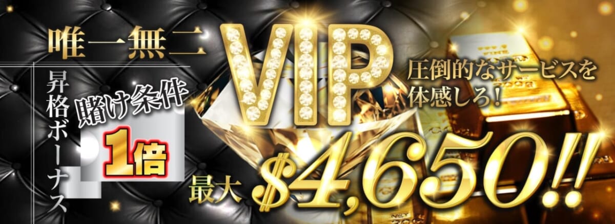 唯一無二VIP圧倒的なサービスを体感しろ！
