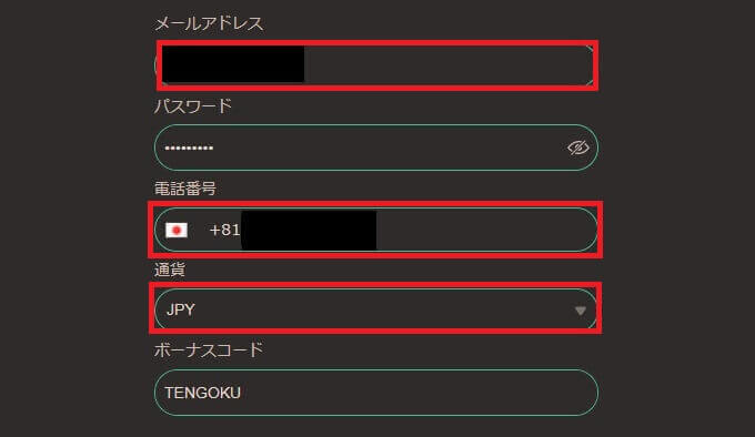 メールアドレス・電話番号・通貨を入力