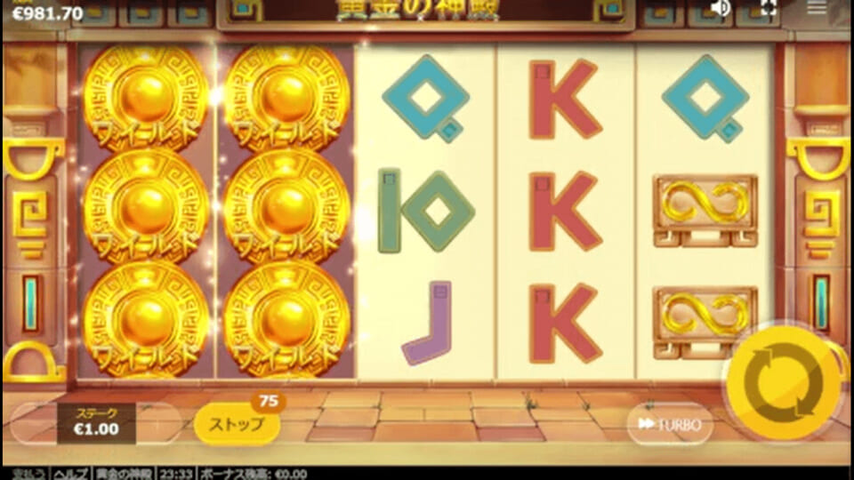 ワイルドリール