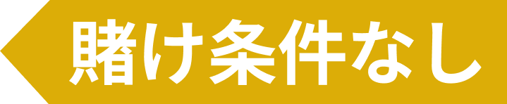 賭け条件なし